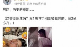 陈飞宇狗仔爆料视频播放,揭秘娱乐圈幕后真相